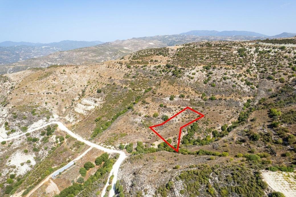 Field in Dora, Limassol photo 1