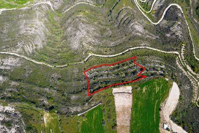 Agricultural field in Pachna, Limassol thumbnail 3