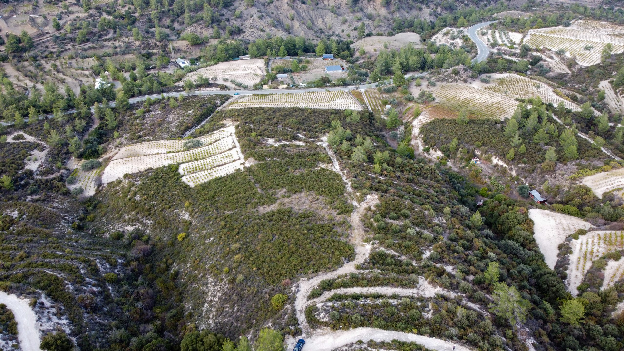 Land for sale in Agios Mamas, Trimiklini photo 1