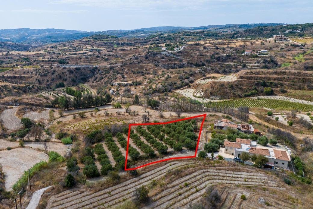 Agricultural field in Polemi, Paphos photo 4
