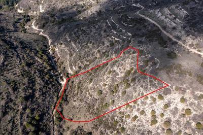 Field in Dora, Limassol thumbnail 1