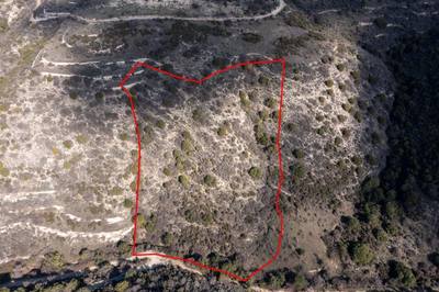 Field in Dora, Limassol thumbnail 3