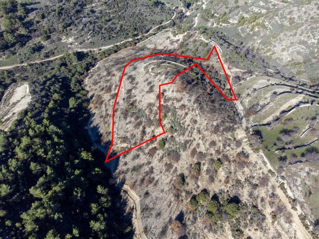 Field in Mousere, Paphos photo 2
