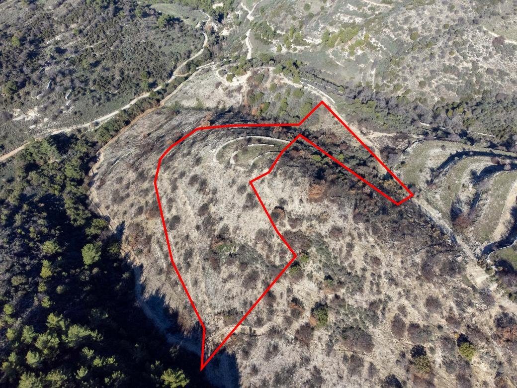 Field in Mousere, Paphos photo 3