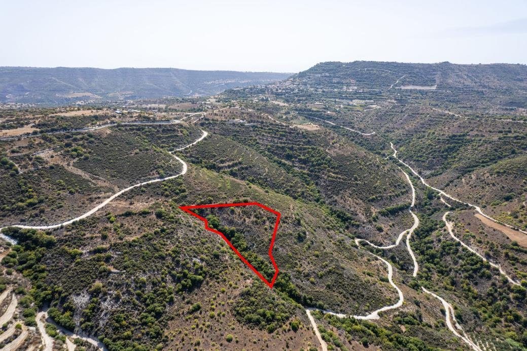 Field in Dora, Limassol photo 1