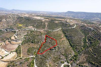 Field in Dora, Limassol thumbnail 2