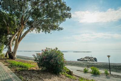 3 BR Seafront Apartment in Agios Tychonas, Limassol thumbnail 14