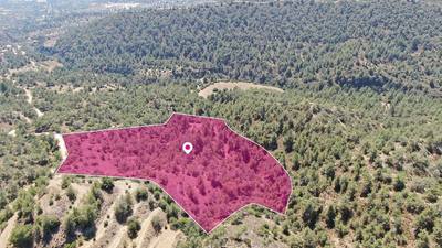 Agricultural field in Kapedes, Nicosia thumbnail 4