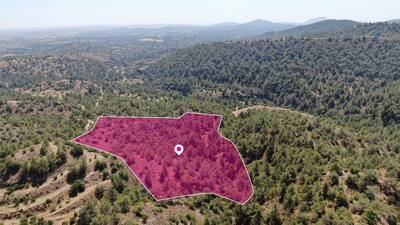 Agricultural field in Kapedes, Nicosia thumbnail 1