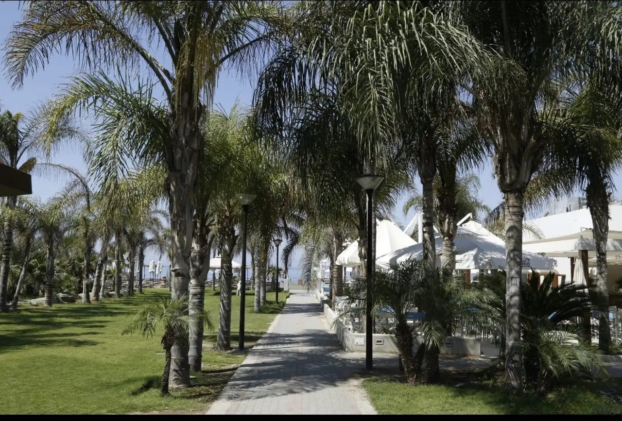 3 BR Penthouse in Parekklisia Tourist Area, Limassol photo 13