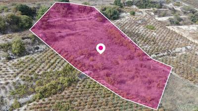 Residential Field, Omodos, Limassol thumbnail 5