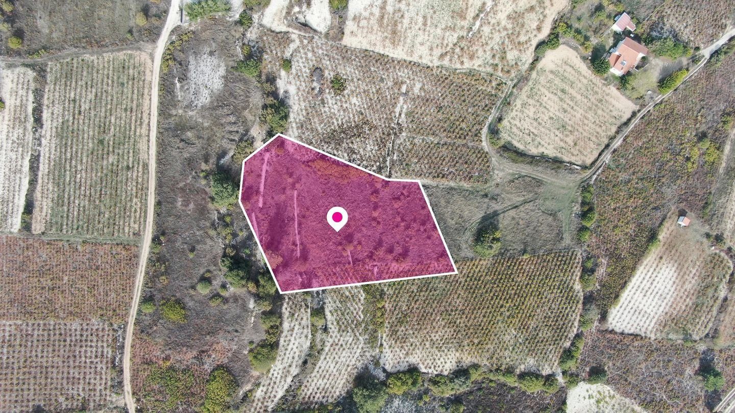 Residential Field, Omodos, Limassol photo 4