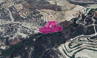 Residential field in Agios Mamas, Limassol thumbnail 3