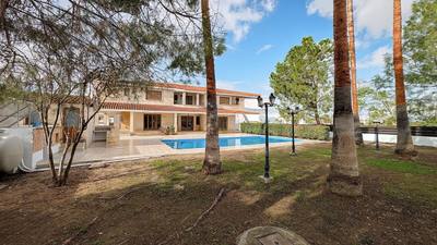 Luxurious Mansion in Agios Georgios, Latsia, Nicosia thumbnail 50