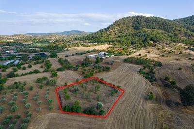 Residential field in Klirou, Nicosia thumbnail 1
