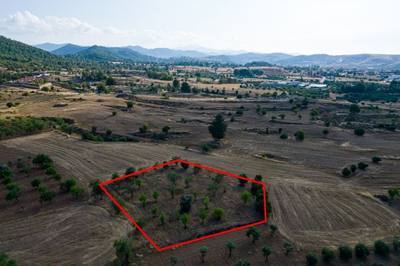 Residential field in Klirou, Nicosia thumbnail 2