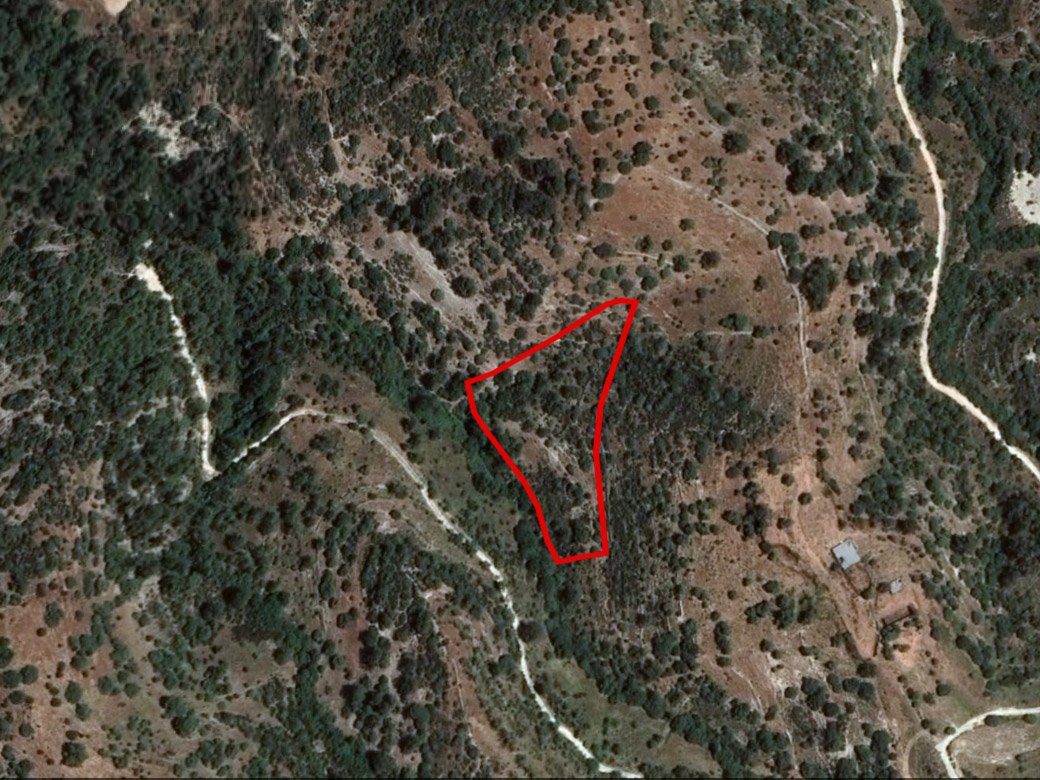 Field in Mousere, Paphos photo 1