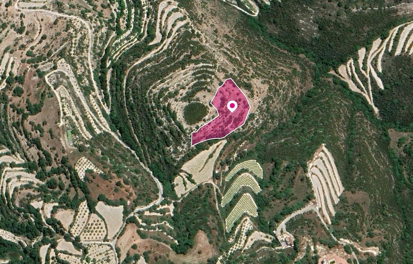 Agricultural Field, Koili, Paphos photo 2