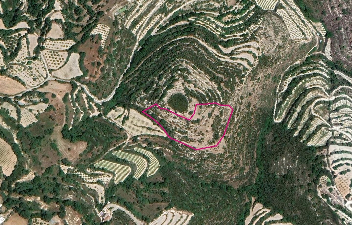 Agricultural Field, Koili, Paphos photo 6