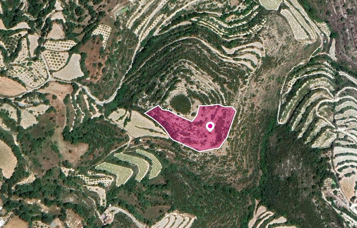 Agricultural Field, Koili, Paphos photo 3