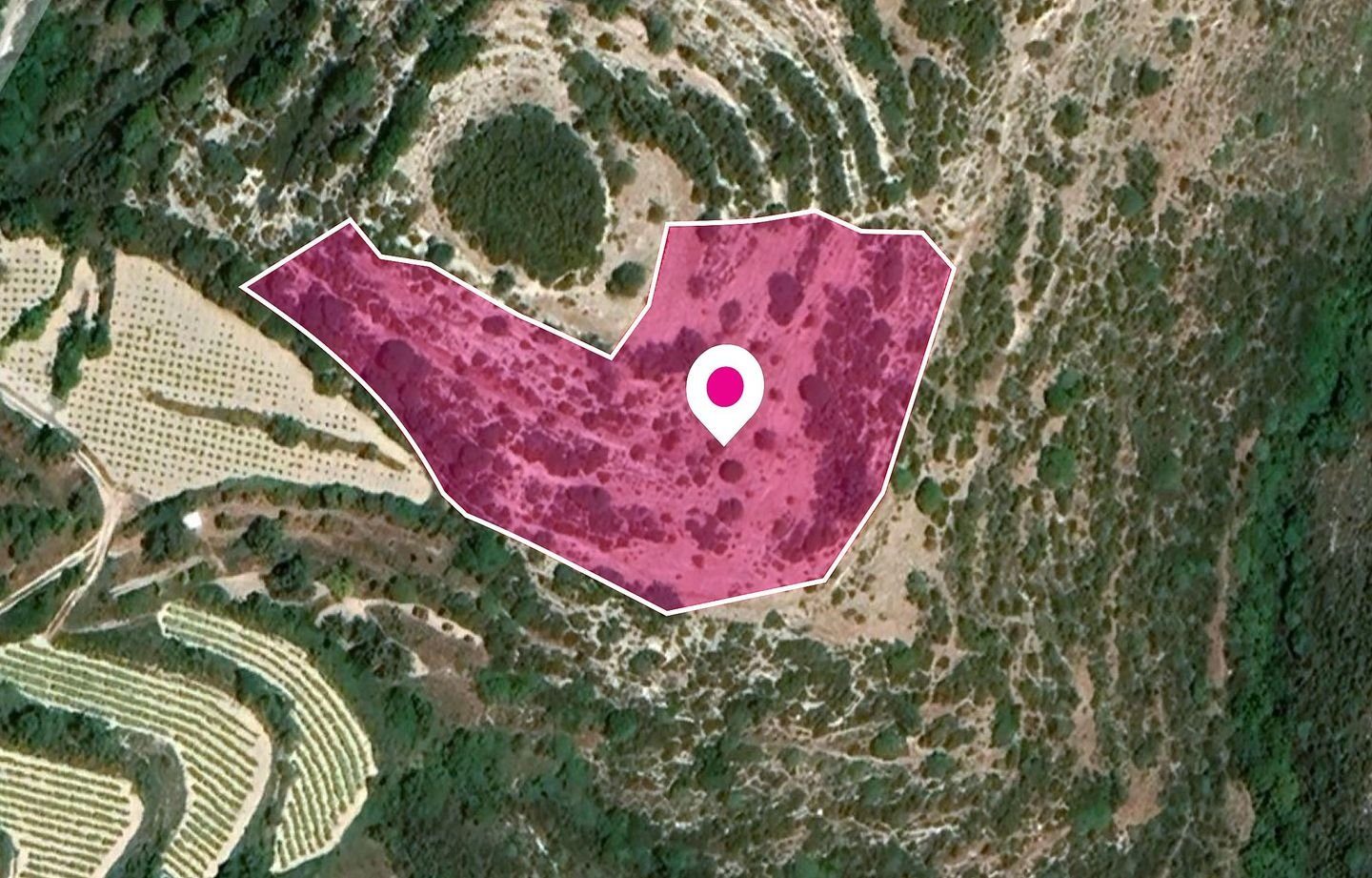 Agricultural Field, Koili, Paphos photo 1