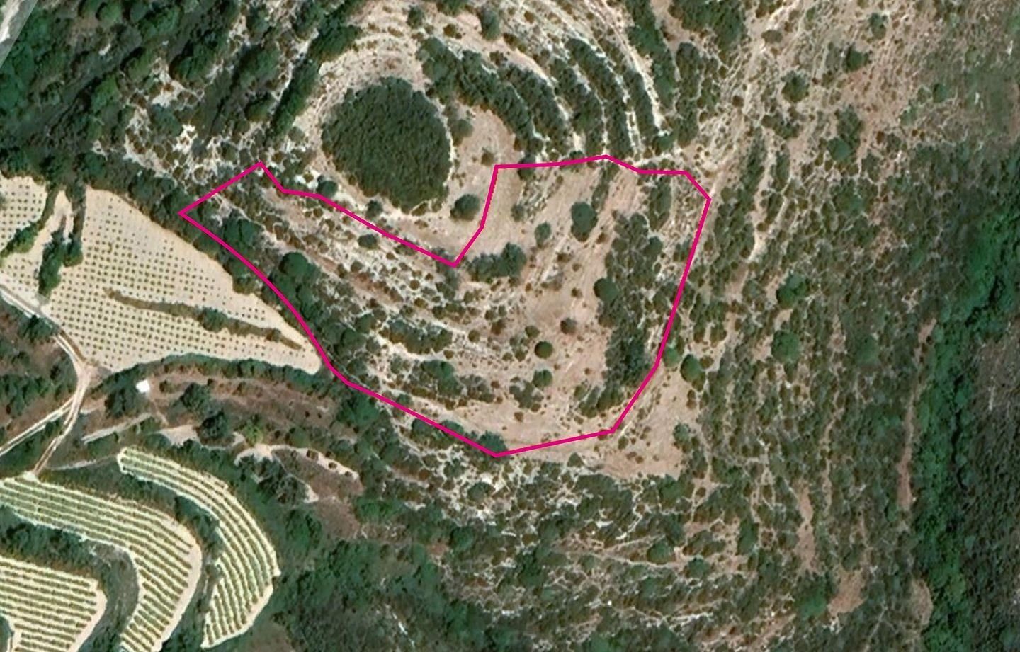 Agricultural Field, Koili, Paphos photo 5