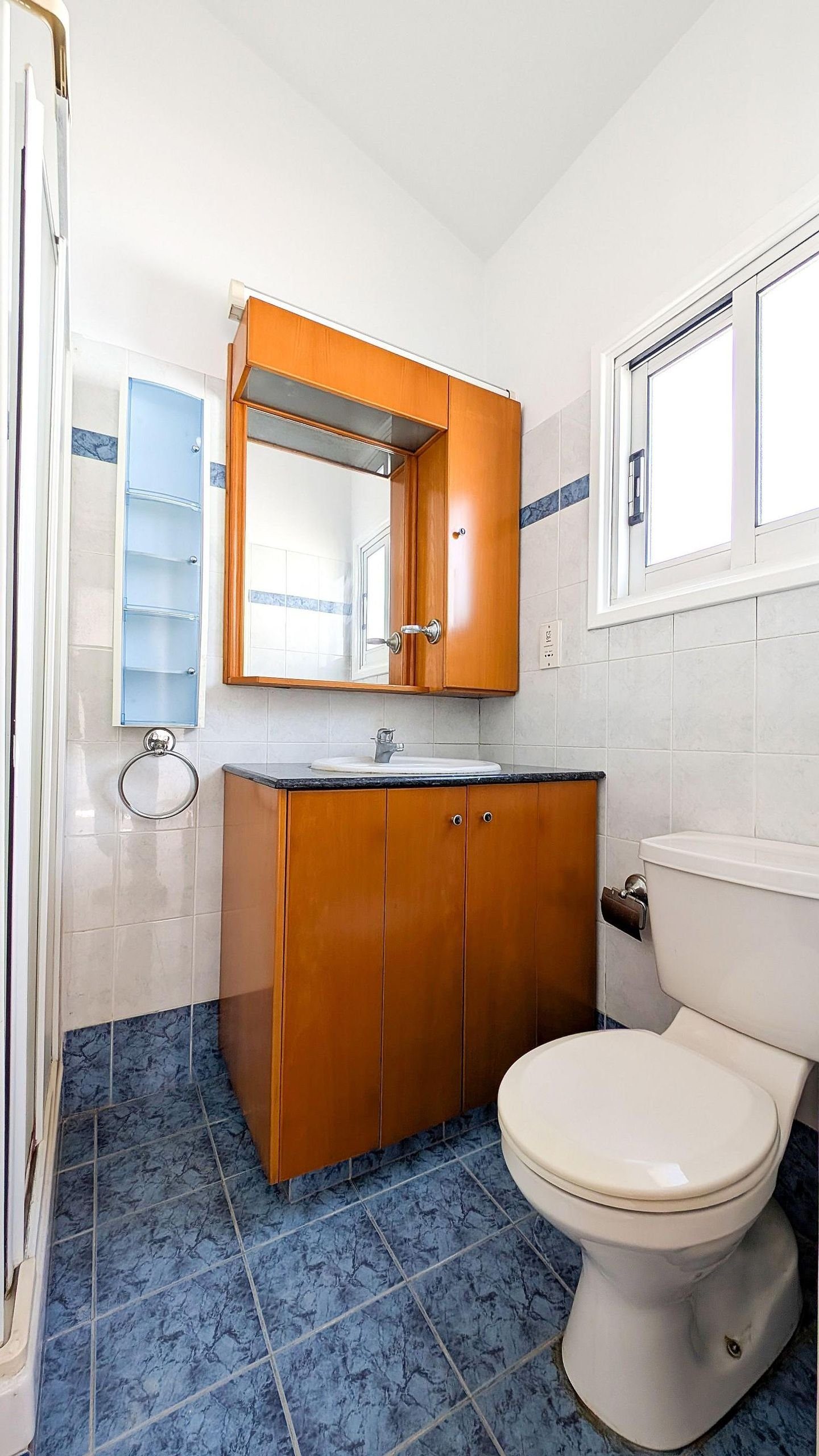 4 BR House in Lakatameia, Nicosia photo 13