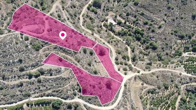 Three adjacent fields, Dierona, Limassol thumbnail 3