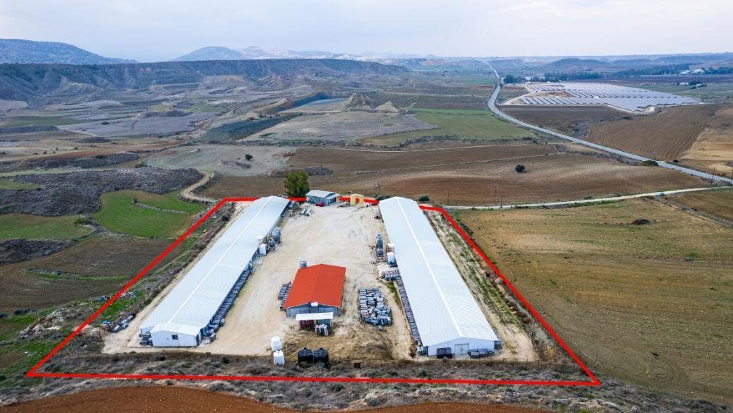 Field with a poultry farm in Agios Ioannis Malountas, Nicosia photo 1