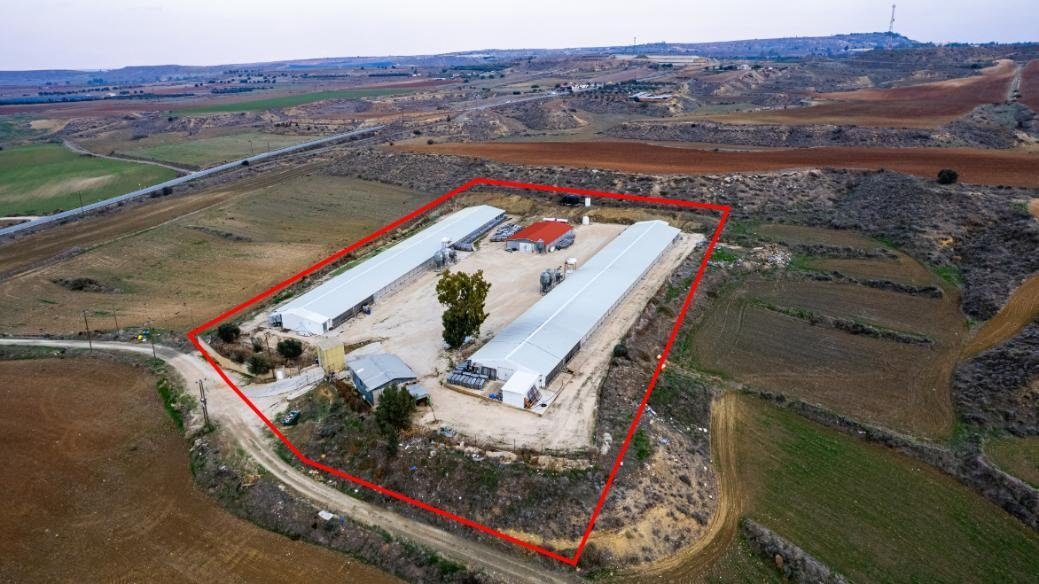 Field with a poultry farm in Agios Ioannis Malountas, Nicosia photo 3