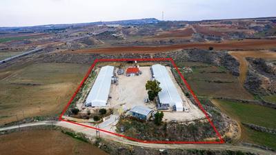 Field with a poultry farm in Agios Ioannis Malountas, Nicosia thumbnail 4