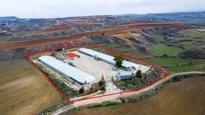 Field with a poultry farm in Agios Ioannis Malountas, Nicosia thumbnail 5