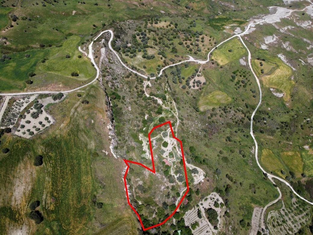 Two shared agricultural fields in Lasa, Paphos photo 6