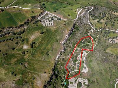 Two shared agricultural fields in Lasa, Paphos thumbnail 5
