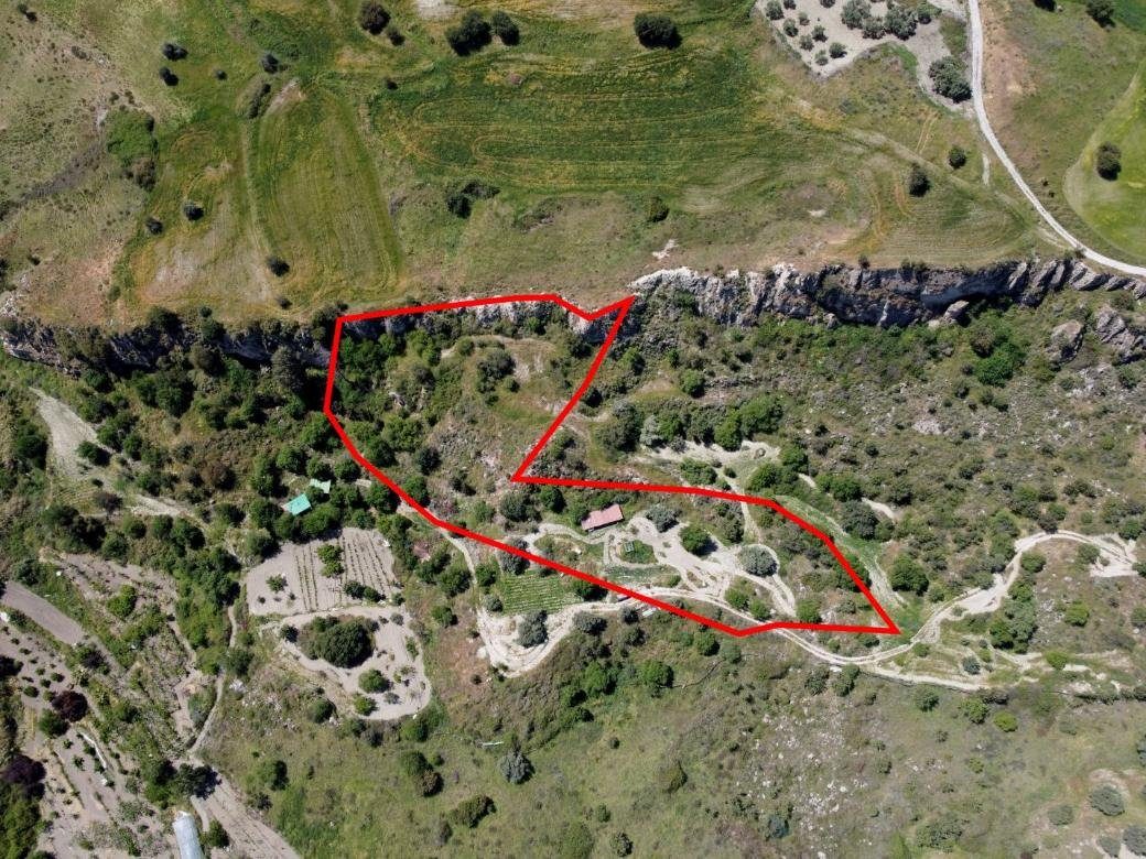Two shared agricultural fields in Lasa, Paphos photo 4