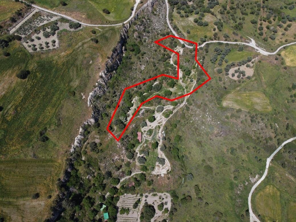 Two shared agricultural fields in Lasa, Paphos photo 2