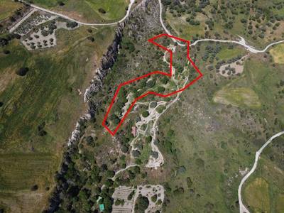 Two shared agricultural fields in Lasa, Paphos thumbnail 2
