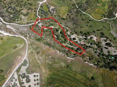 Two shared agricultural fields in Lasa, Paphos thumbnail 1