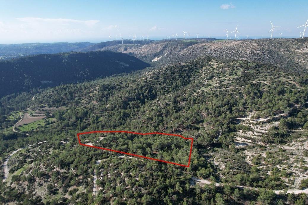 Shared field in Pano Archimandrita, Paphos photo 4