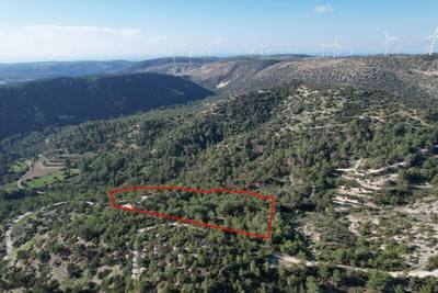 Shared field in Pano Archimandrita, Paphos thumbnail 4