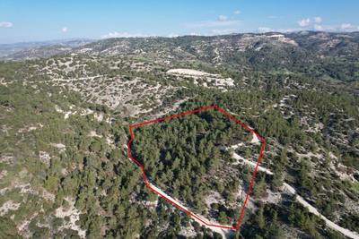 Shared field in Pano Archimandrita, Paphos thumbnail 2