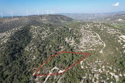 Shared field in Pano Archimandrita, Paphos thumbnail 5