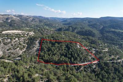 Shared field in Pano Archimandrita, Paphos thumbnail 1
