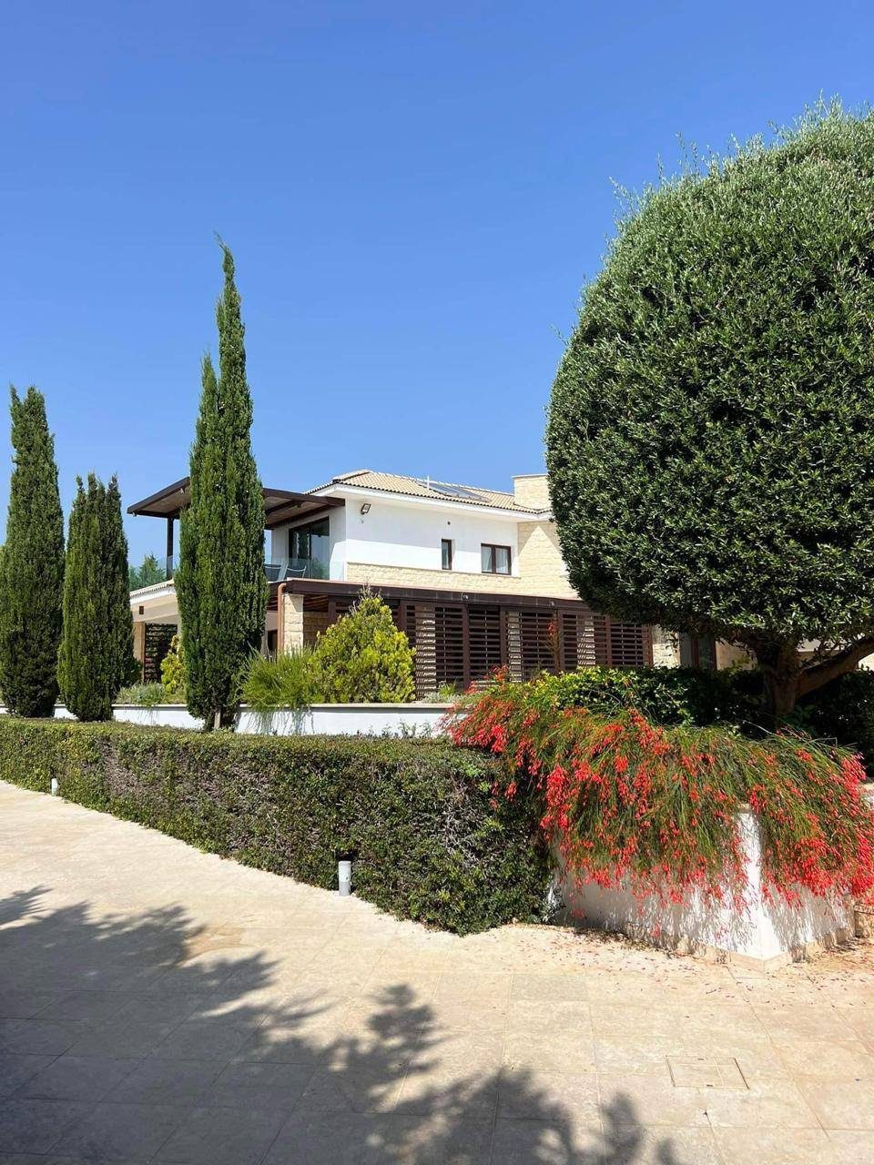 4 BR Villa in Kouklia, Paphos photo 17