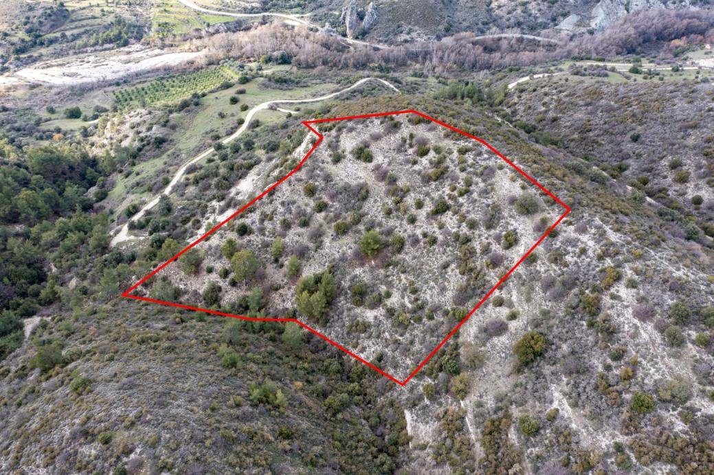 Field in Dora, Limassol photo 1