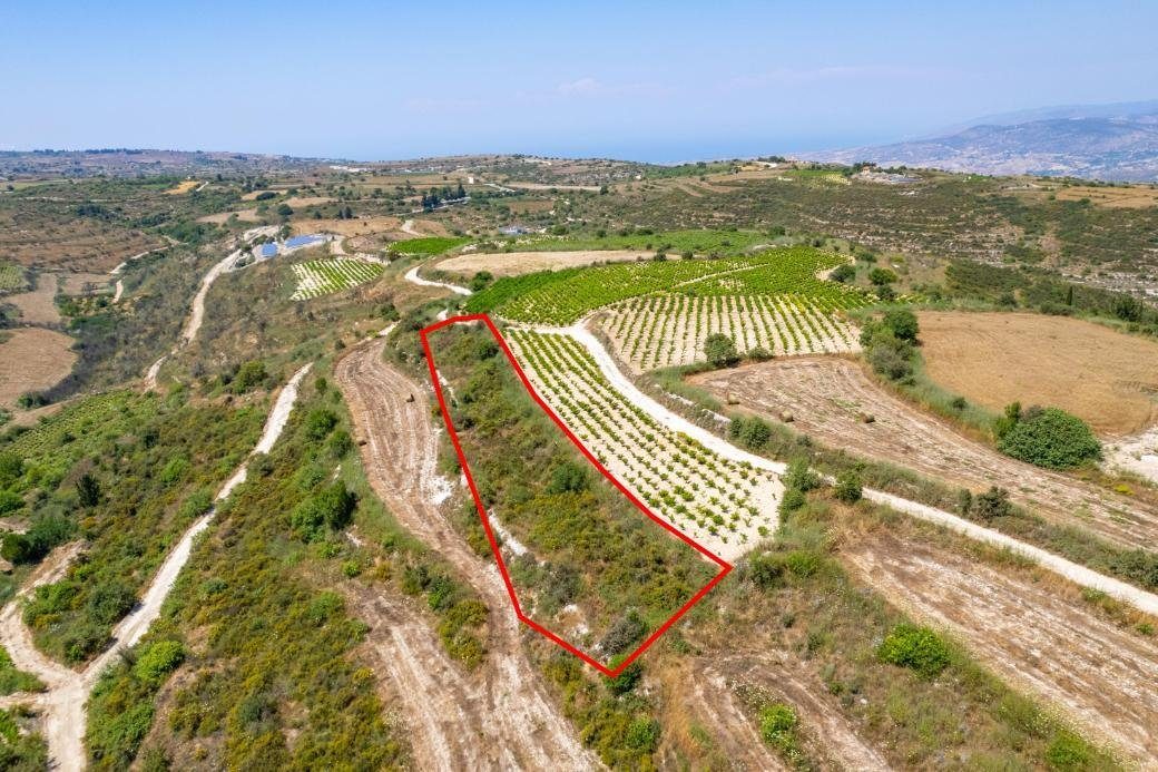 Agricultural field in Kathikas, Paphos photo 1