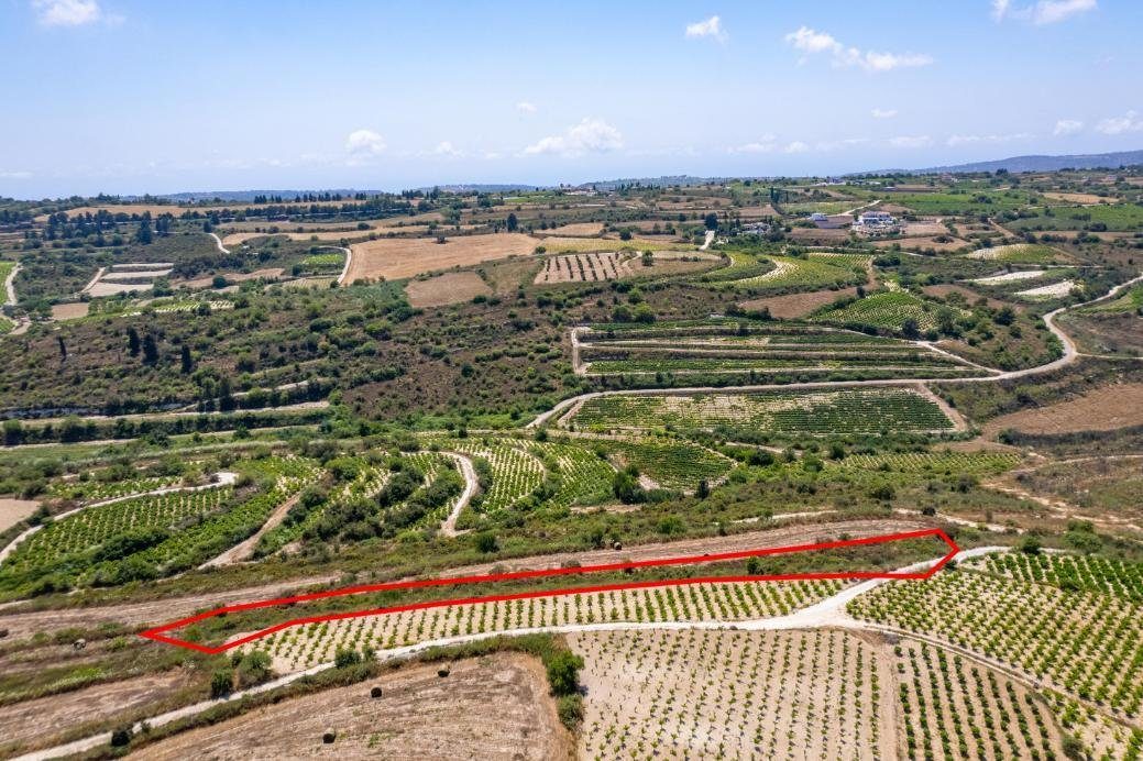Agricultural field in Kathikas, Paphos photo 2