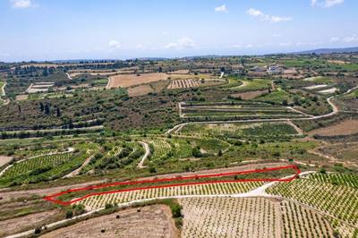 Agricultural field in Kathikas, Paphos thumbnail 2