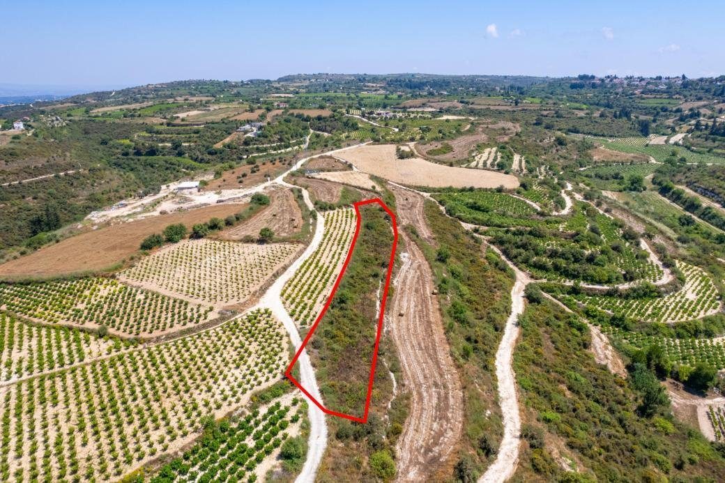 Agricultural field in Kathikas, Paphos photo 3