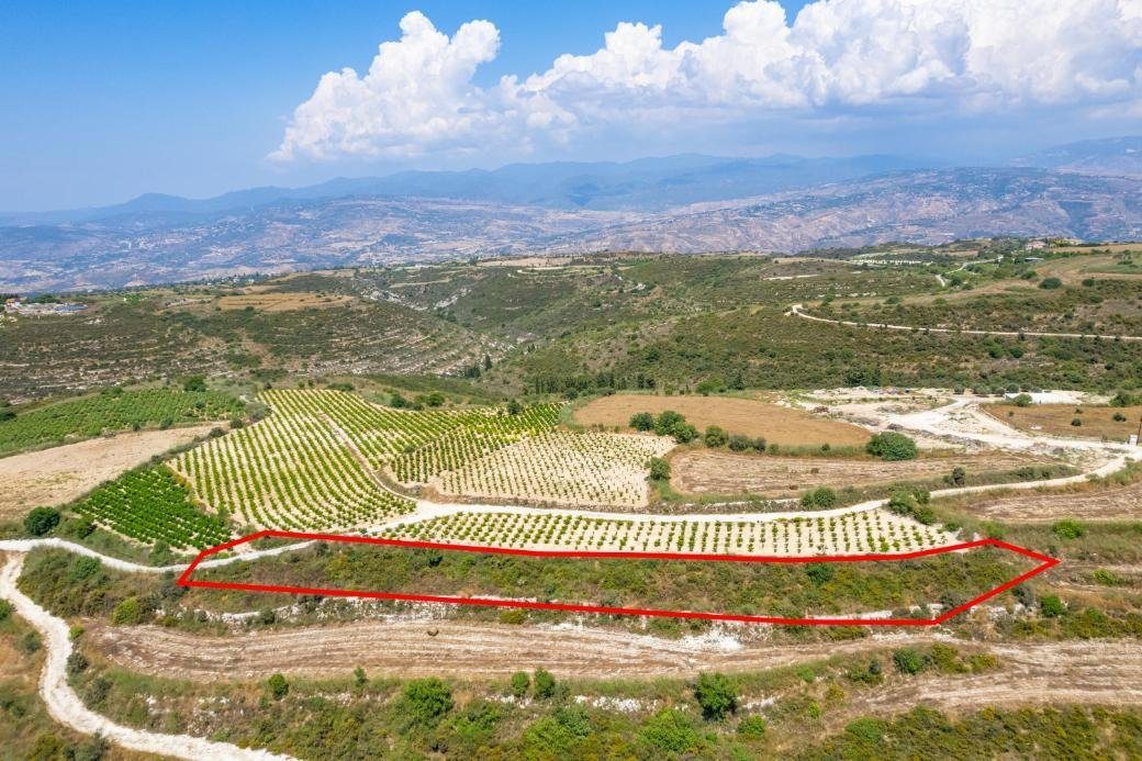 Agricultural field in Kathikas, Paphos photo 4